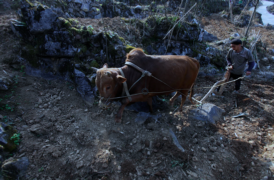 Hiệu quả từ đào tạo nghề, giải quyết việc làm ở Hòa Bình