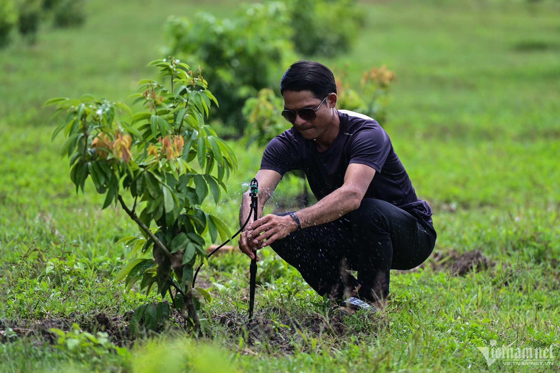 W-nong-nghiep-ng-hue-8-1.jpg