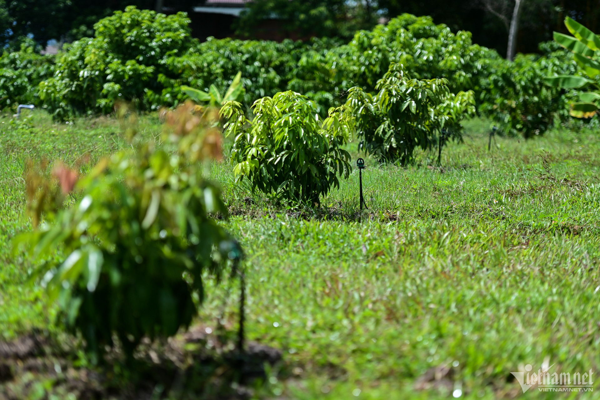 W-nong-nghiep-ng-hue-7-1.jpg