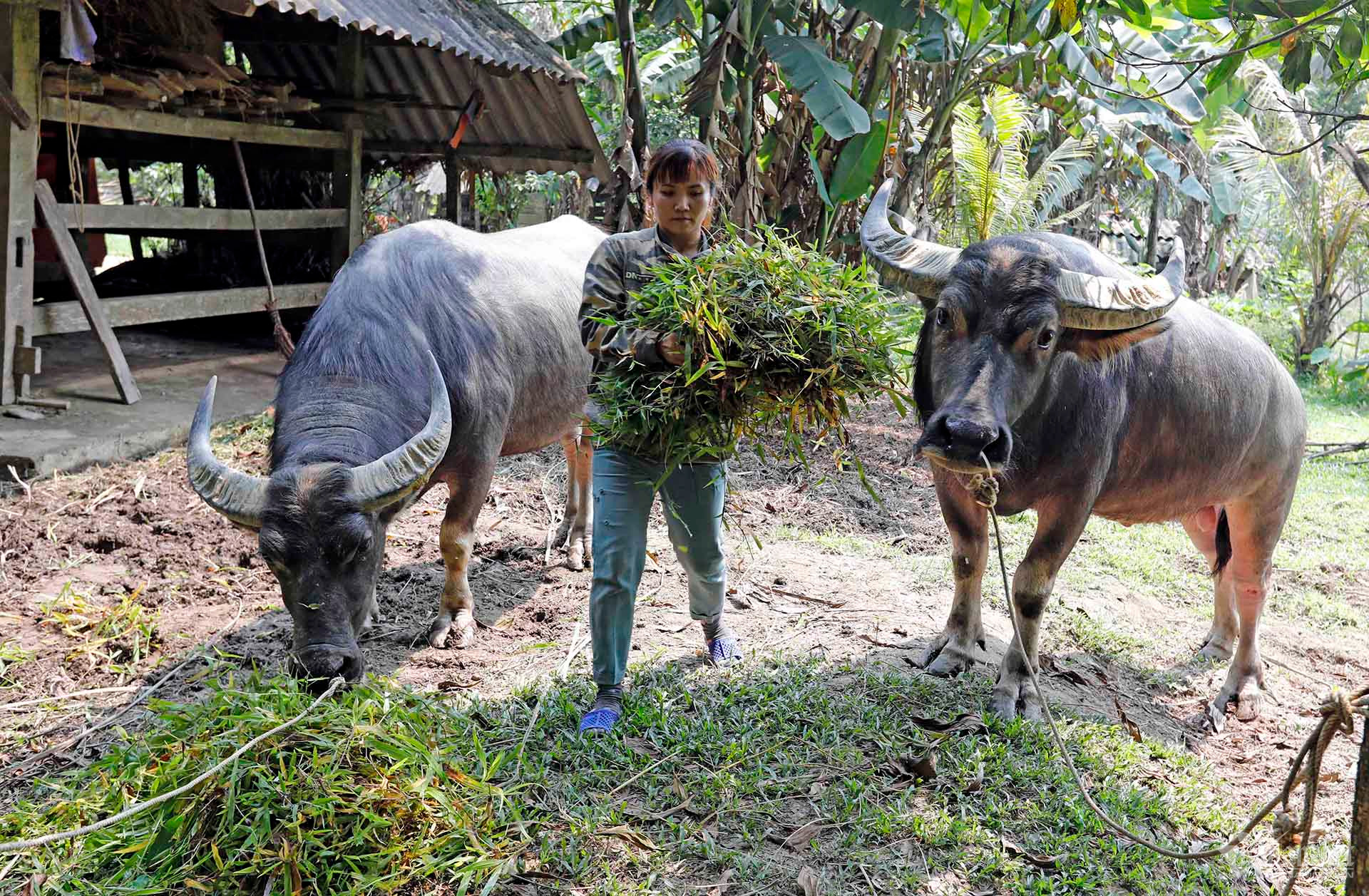 W-a7-nghiem-thi-thanh-hoai-son-hog-huog-son-ht-6964-1.jpg
