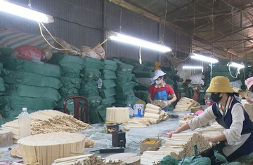 Bắc Kạn: Đẩy mạnh hoạt động định hướng, tư vấn nghề nghiệp