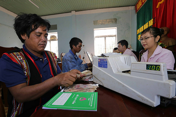 Chuyển đổi vườn tạp sang trồng măng tây bà con thoát nghèo ngoạn mục