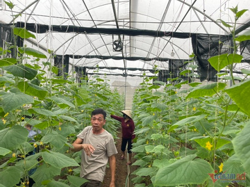 Nhiều mô hình kinh tế mới hiệu quả góp phần giảm nghèo bền vững ở Vĩnh Linh