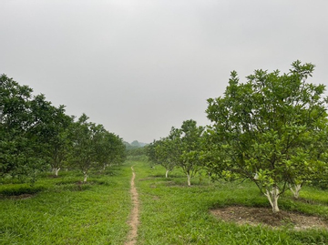 Phong Điền nâng cao nhận thức về giảm nghèo, không còn tư tưởng trông chờ, ỷ lại