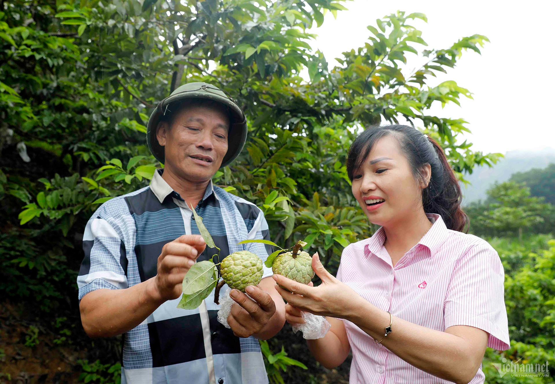 W-a9-dang-thi-mai-dt-dao-yen-son-tq-2559-1.jpg