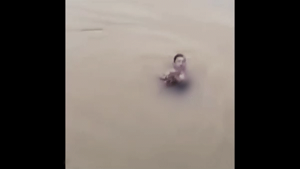 ảnh đại diện.gif