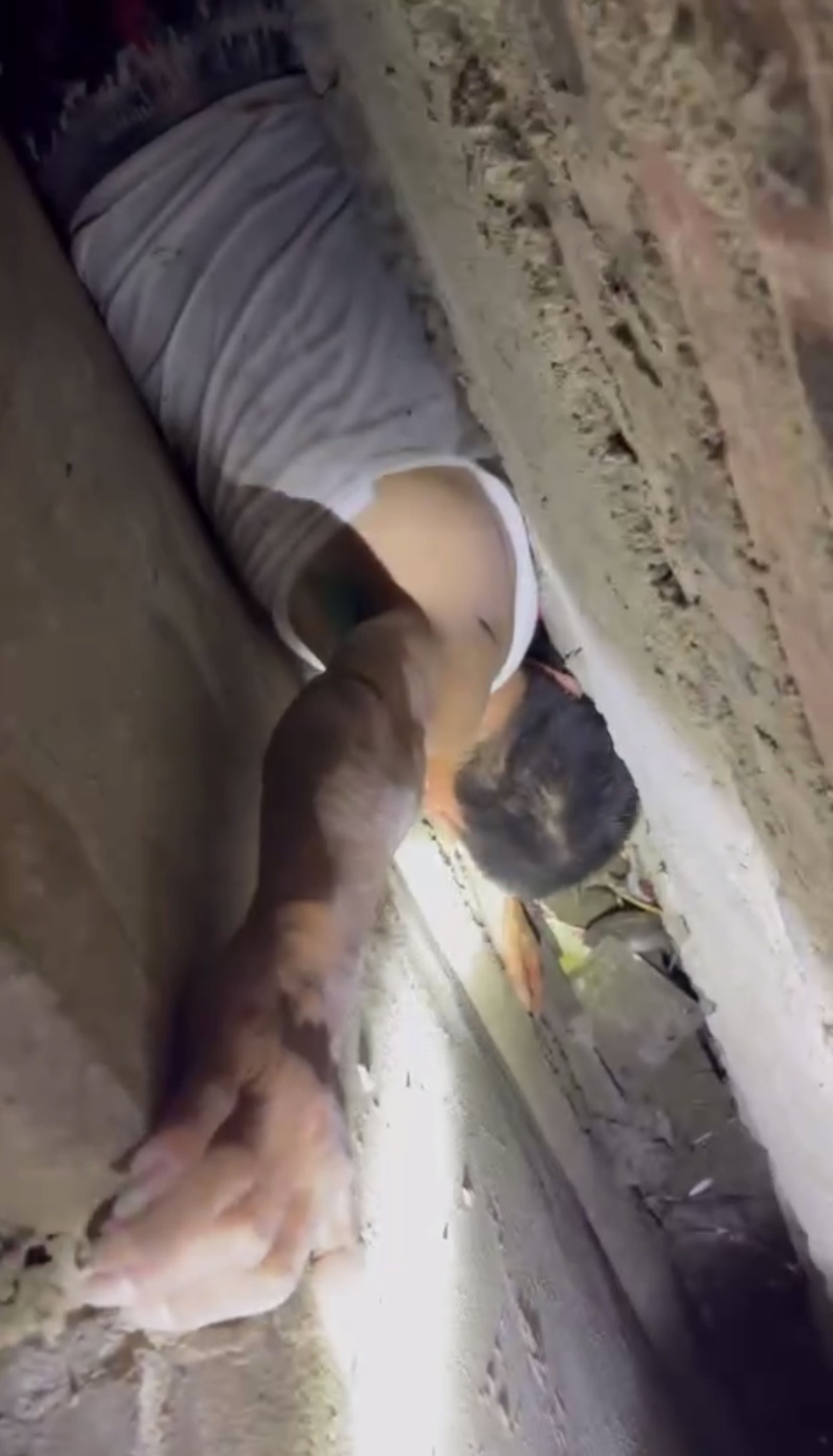 f0114c78 0c99 4394 a444 e6a6a0ed94d3.jpeg