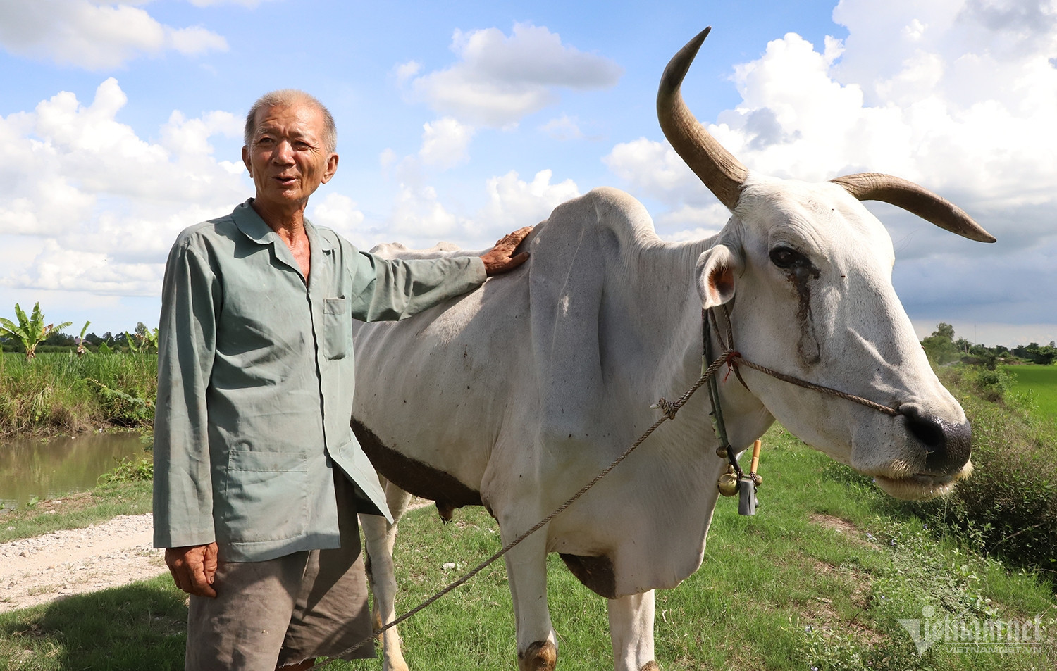 W-ông Tám Pho 1.JPG.jpg