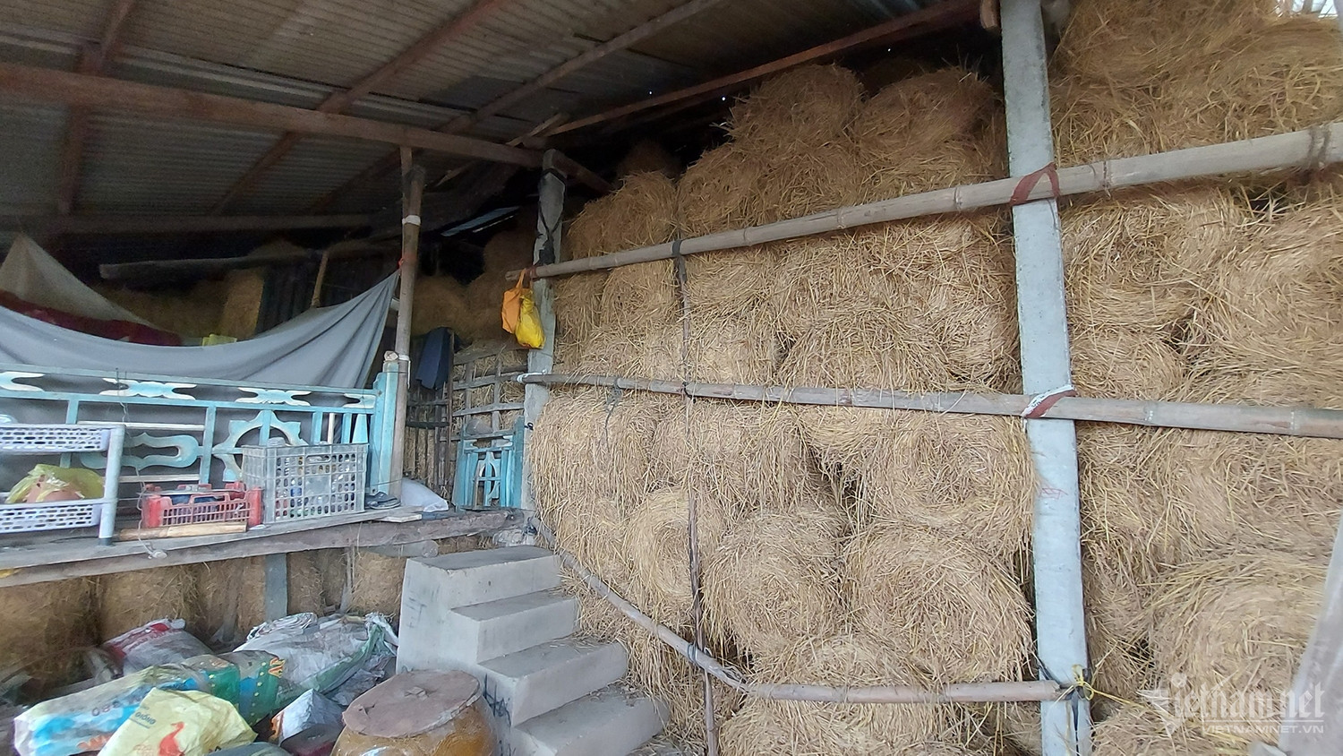 W-Ông Tám Pho 4.jpg