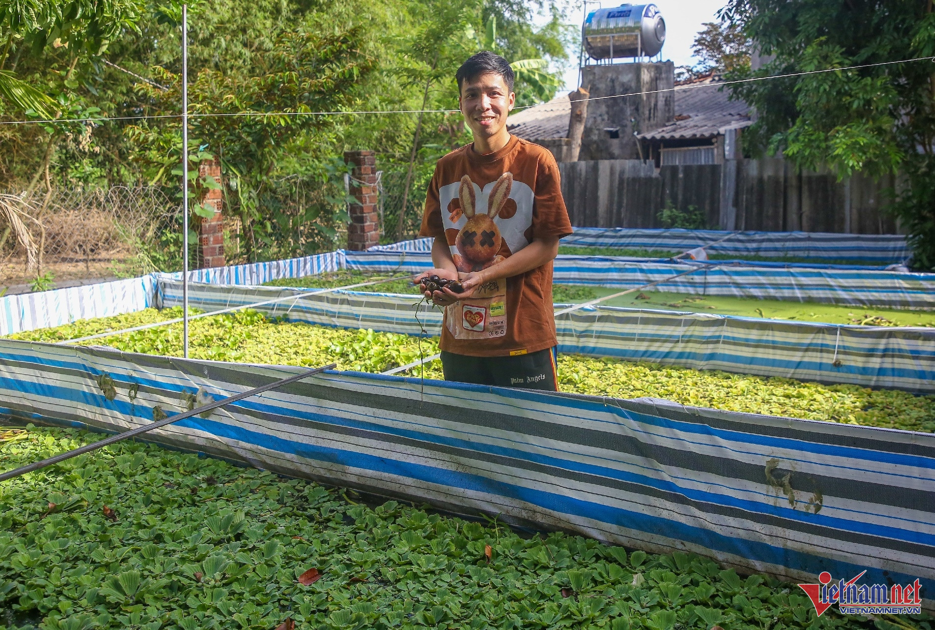 Bể bạt để dưỡng ốc bố mẹ