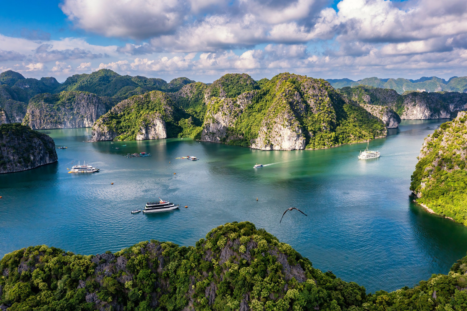 A4 ss_2555445469.jpg