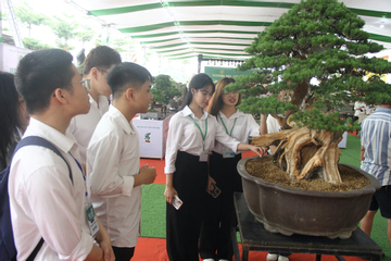 Gần 800 sinh viên được đào tạo chuyên ngành rau hoa quả và cảnh quan