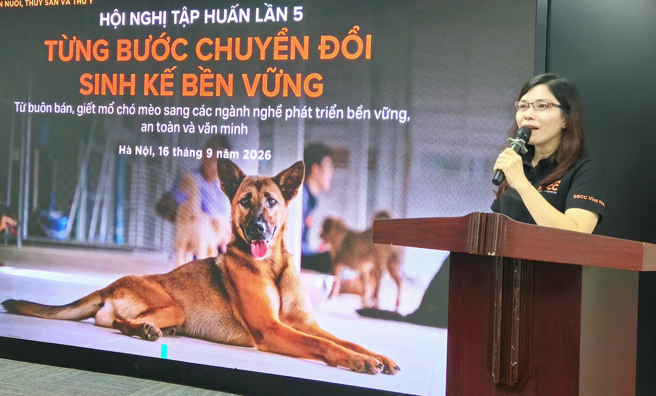 Bà Bùi Duyên Giám đốc SBCC Vietnam1.jpg