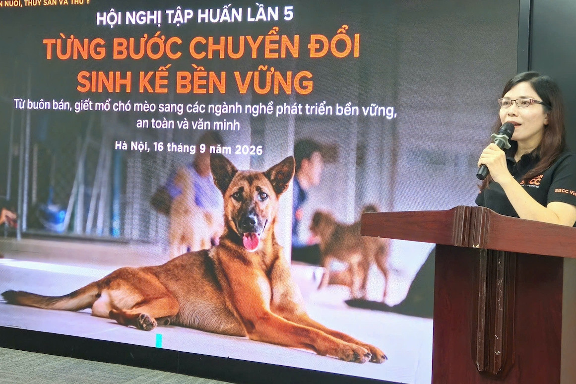 Gia tăng tử vong do bệnh dại vì chủ quan