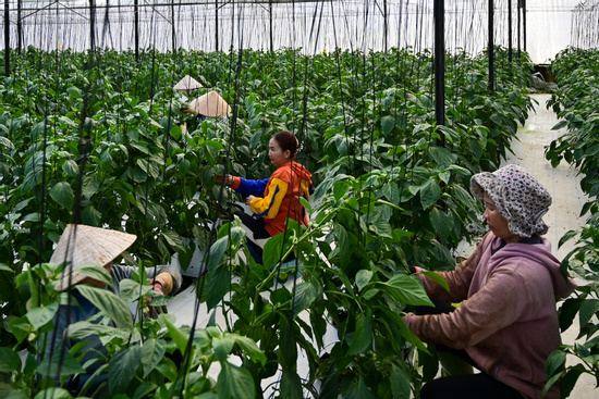 Lạc Dương nỗ lực giảm nghèo bền vững