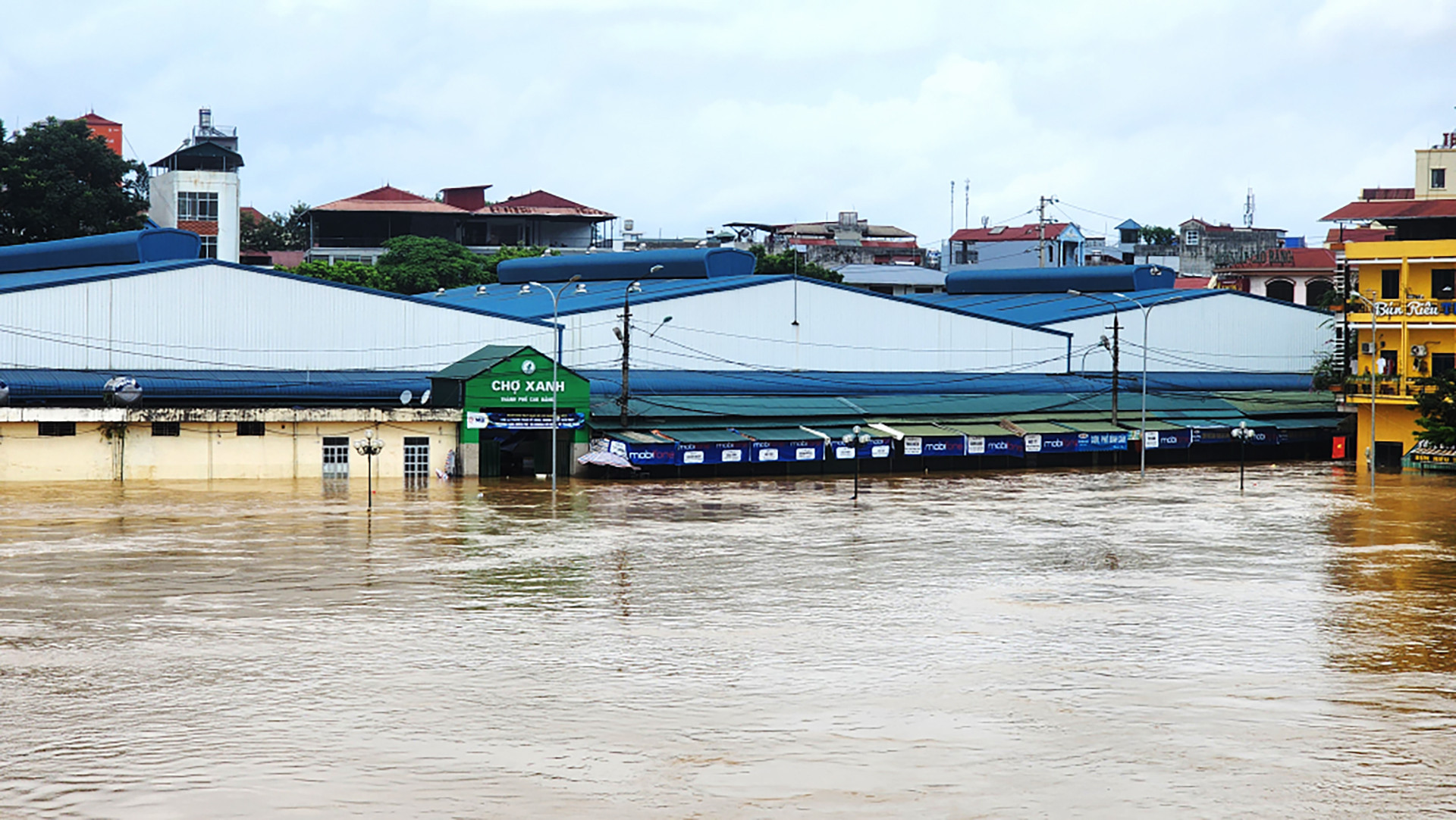 cao bang hong 15.jpg