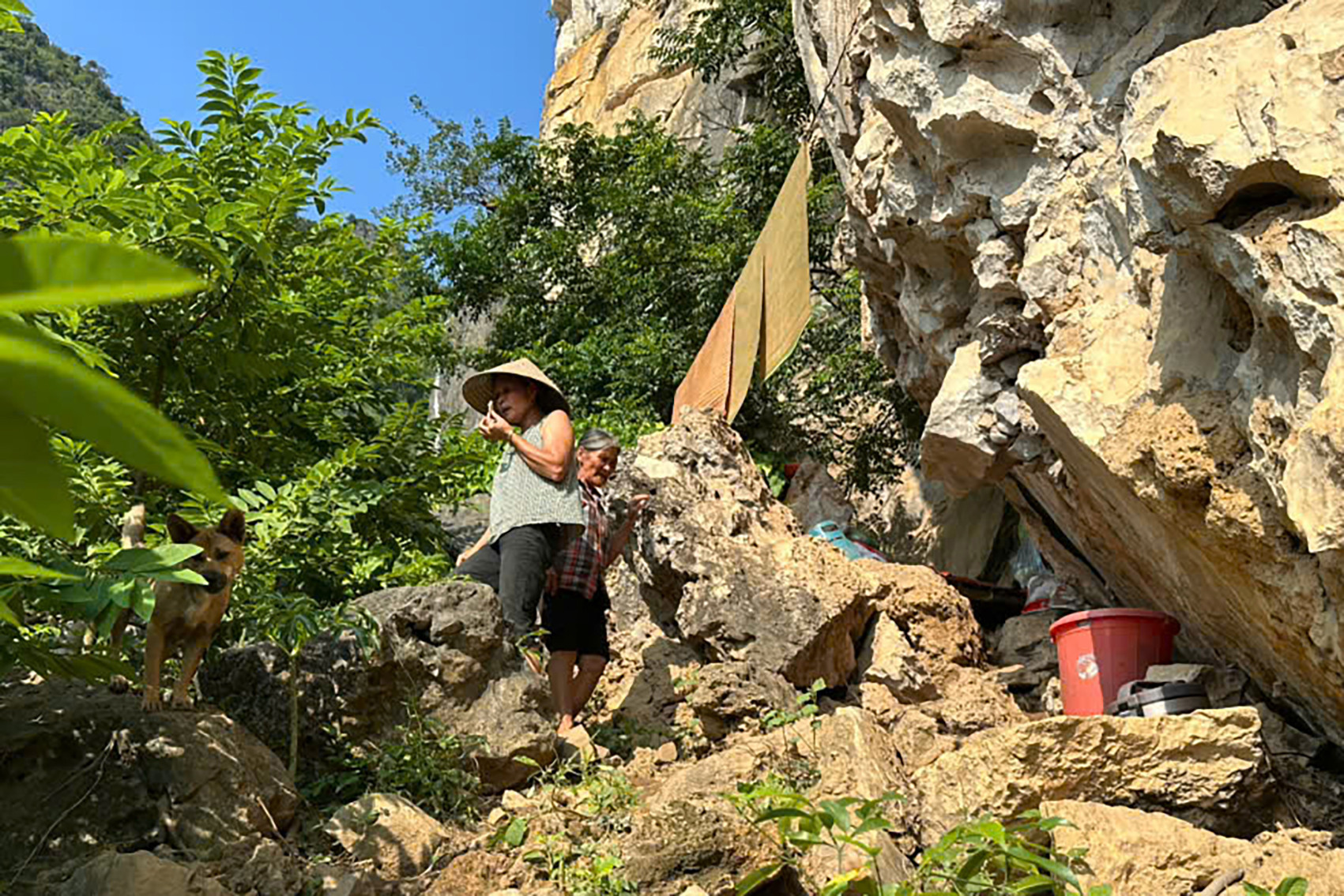 8b98c192 abd1 4346 8997 666262702aca.jpeg