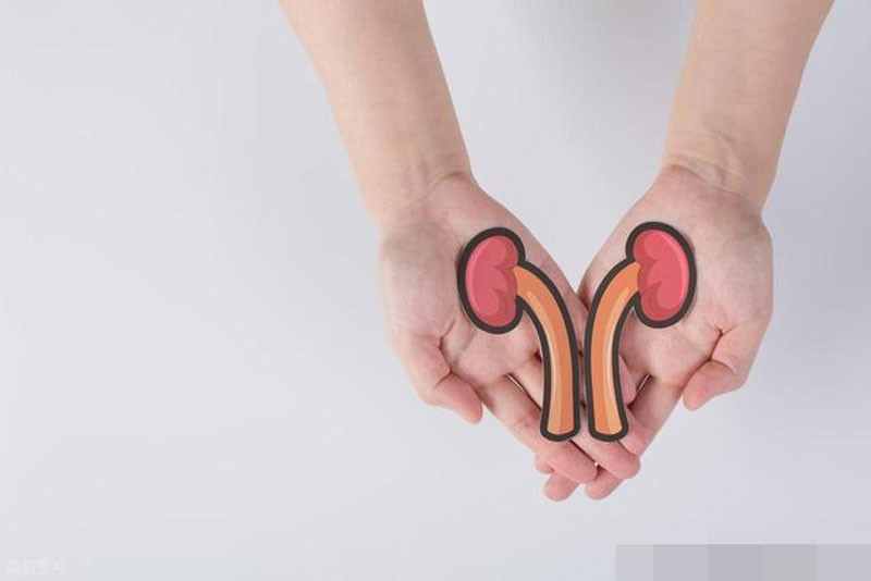 4 loại thực phẩm là chất xúc tác gây tổn thương thận