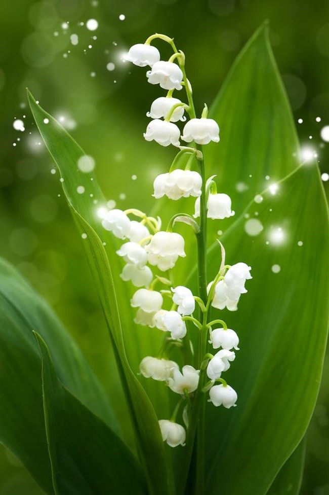 Số cuối ngày sinh Âm lịch của người giỏi giang: Giống như rượu ngon, càng để lâu càng thơm - Ảnh 1.