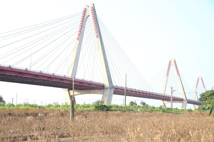 Những vườn đào chuẩn bị cho Tết Nguyên đán ven sông Hồng đã bị nước lũ nhấn chìm, trở nên xơ xác, không thể cứu vãn.