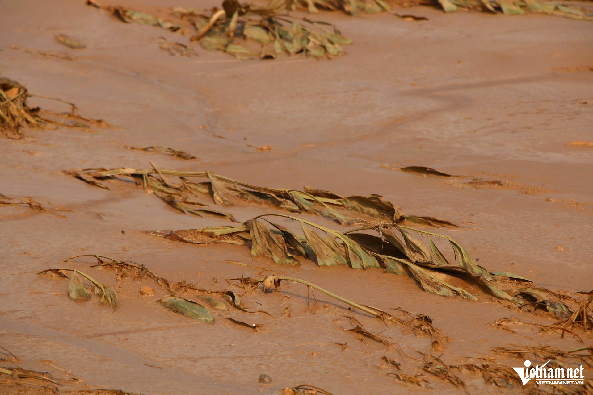 W-nhà máy luyện ngang thép tháu nguyên_5.JPG.jpg