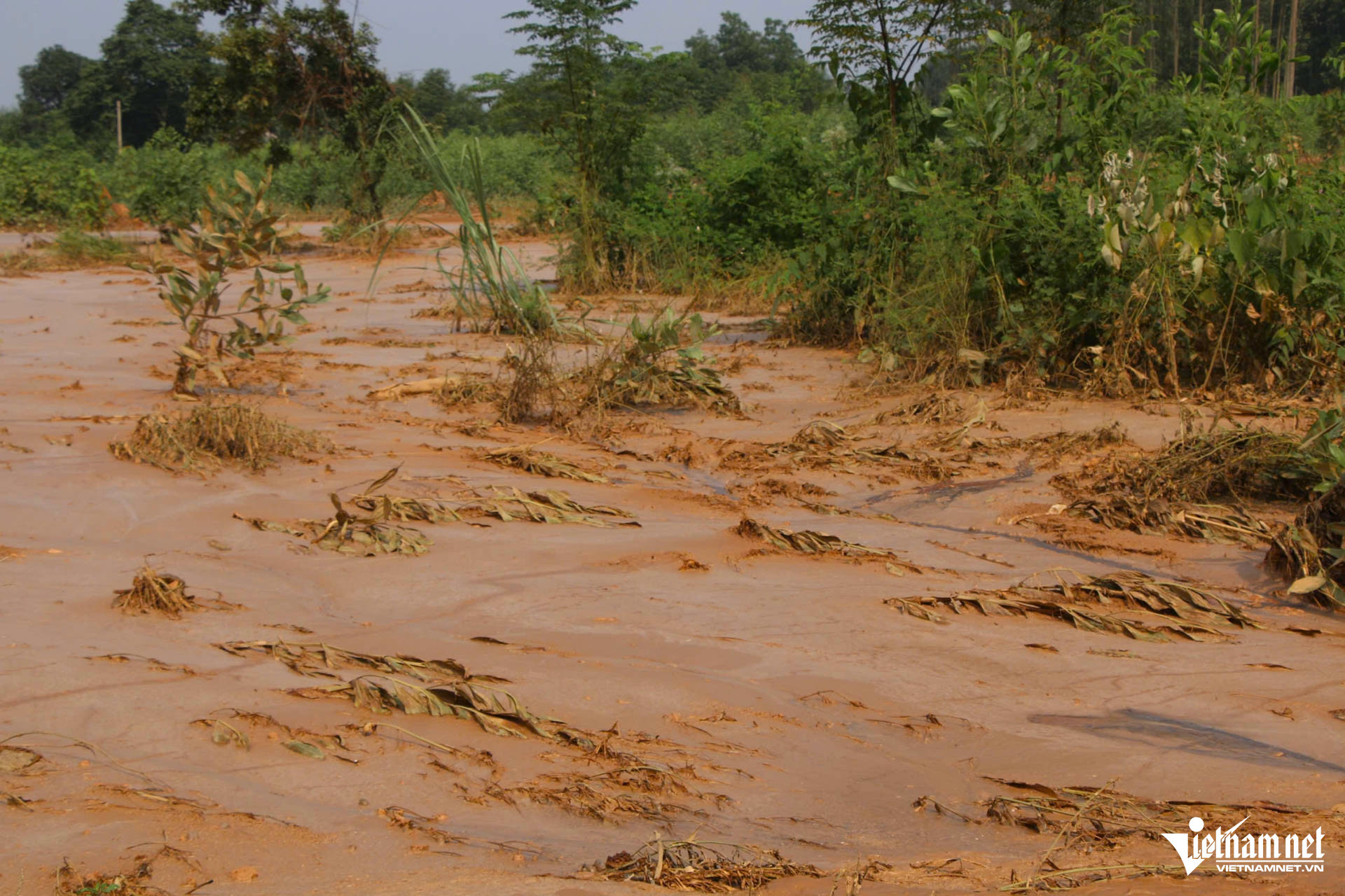 W-nhà máy luyện ngang thép tháu nguyên_8.JPG.jpg