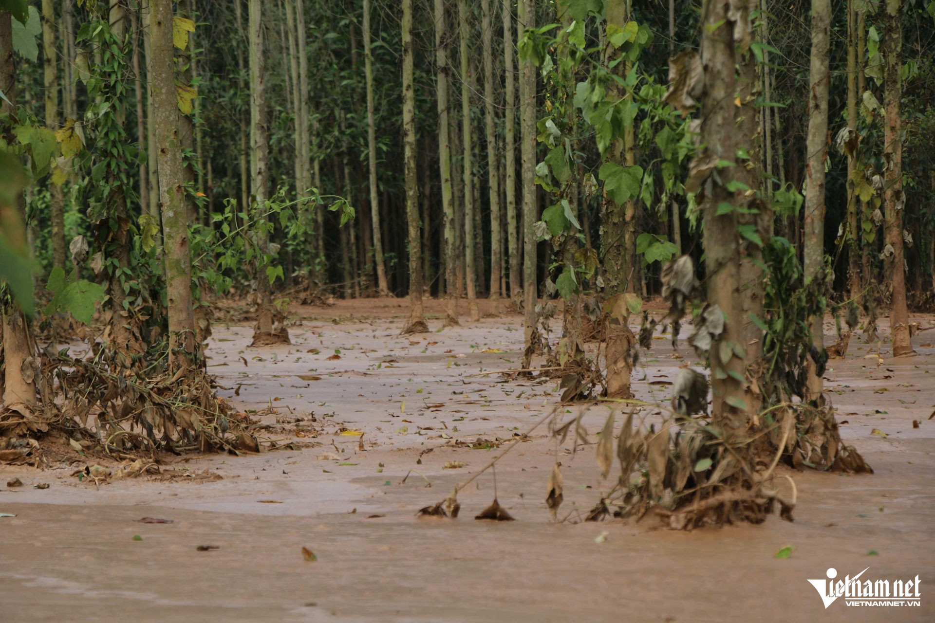 W-nhà máy luyện ngang thép tháu nguyên_1.JPG.jpg