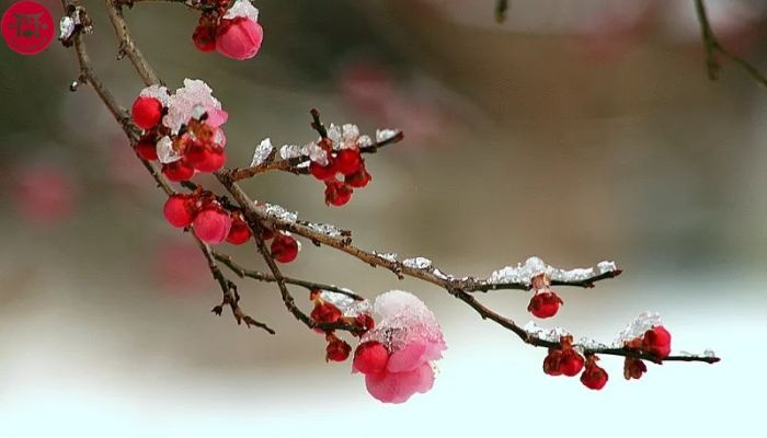 Số cuối ngày sinh Âm lịch của người tuổi trẻ phải trải qua nhiều sương gió - Ảnh 2.