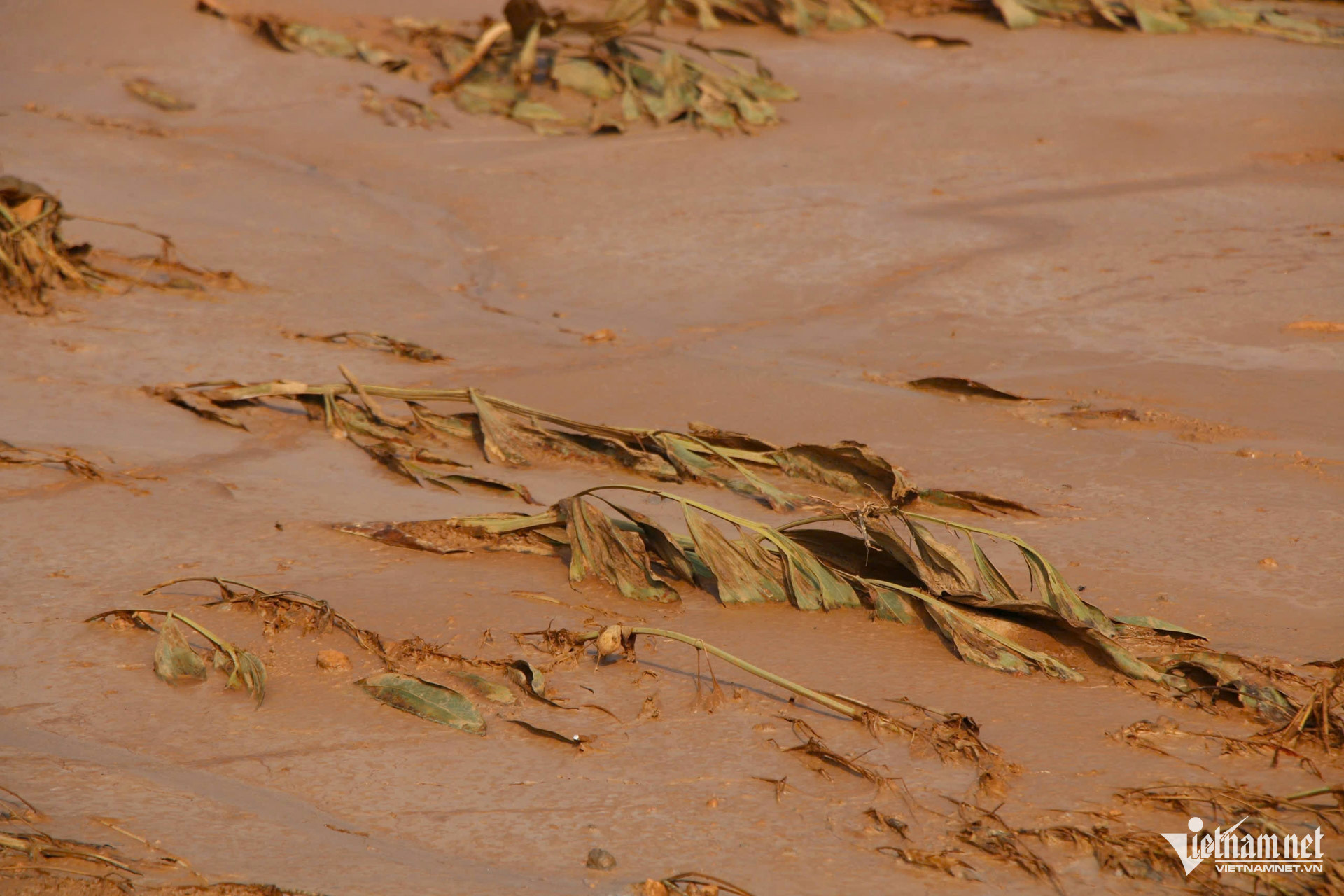 W-dọn dẹp_11.JPG.jpg