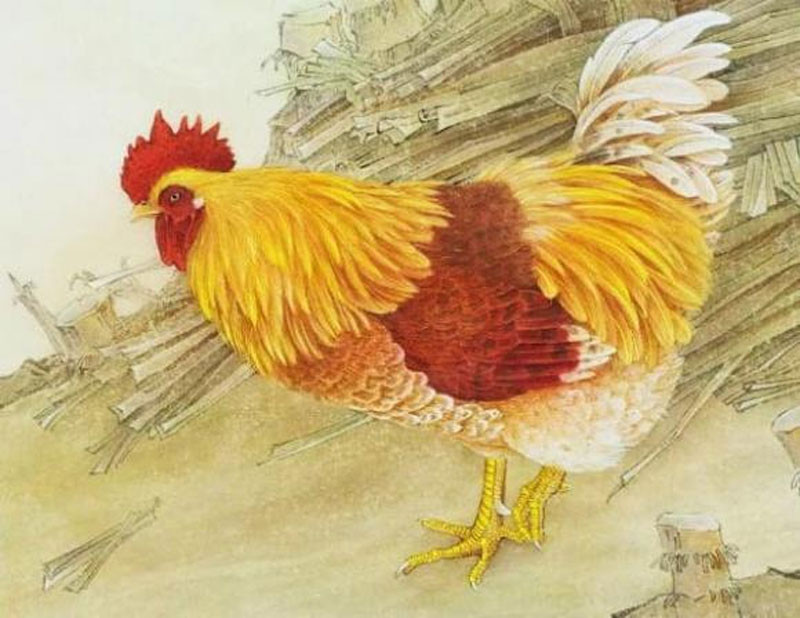 3 con giáp chuyển vận trước cuối năm sự nghiệp và tài lộc thăng hạng