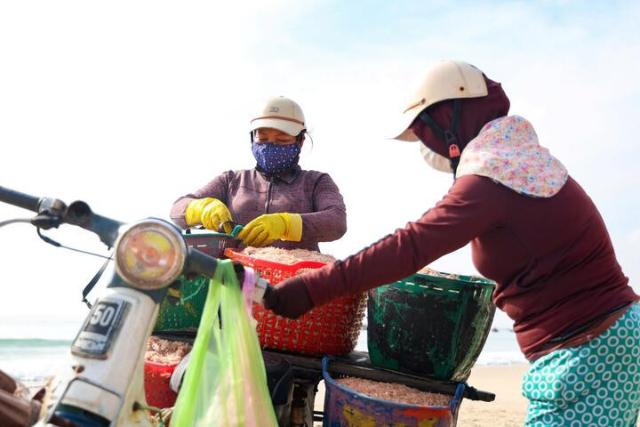 Thương lái túc trực trên bờ và sẵn sàng thu mua ruốc khi ngư dân cập bến.