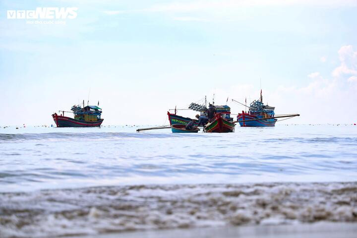 Những ngày gần đây, vùng biển ven bờ thuộc xã Tịnh Khê, tỉnh Quảng Ngãi, tràn ngập bầu không khí rộn ràng với niềm vui khôn xiết của ngư dân địa phương khi tàu nào tàu nấy bội thu ruốc biển.