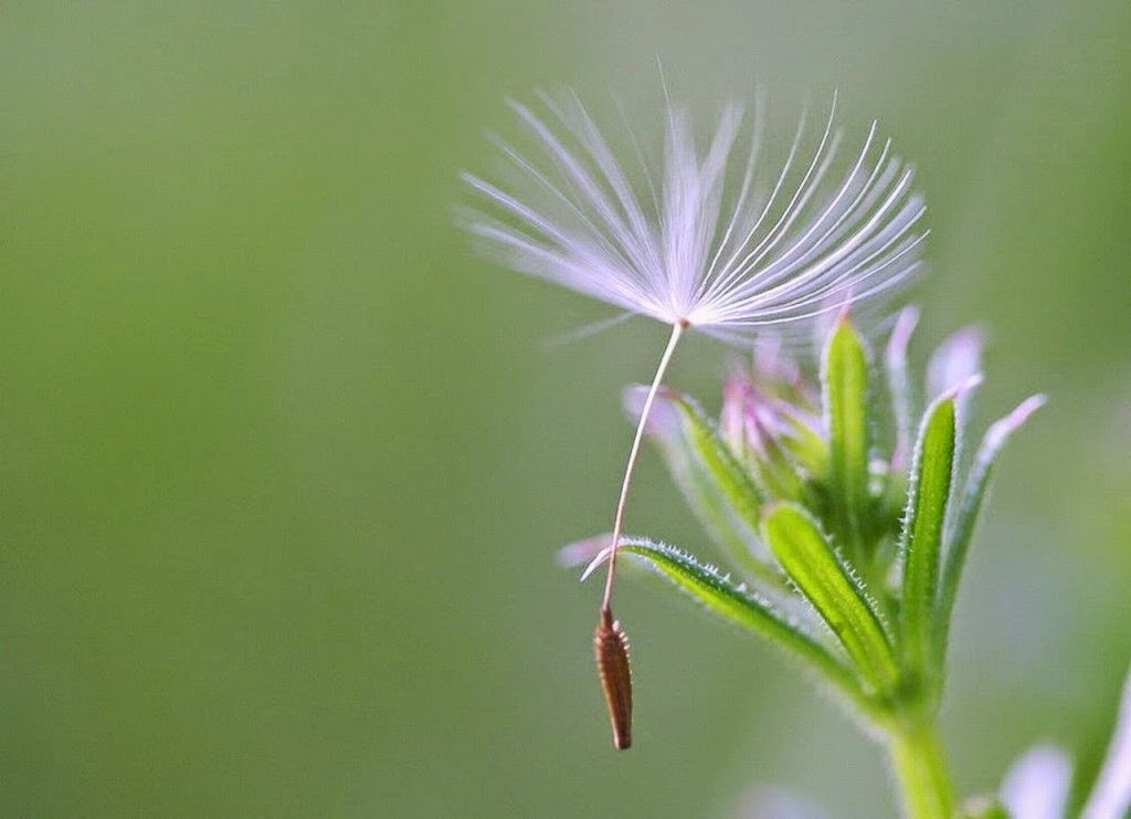 Ngày sinh Âm lịch của người làm việc chuyên nghiệp, ai hợp tác cũng thấy hài lòng - Ảnh 1.