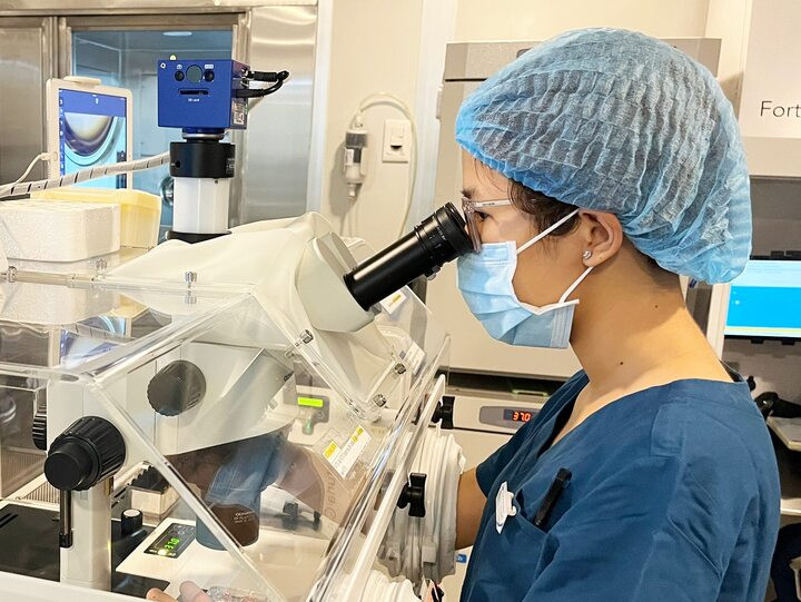 Nhân viên y tế cấy trứng vào môi trường nuôi cấy trứng non đặc biệt.