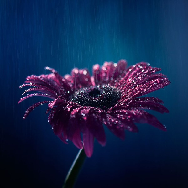 Tháng sinh Âm lịch vượng mệnh: Ai sở hữu phúc lộc theo chân cả đời - Ảnh 2.