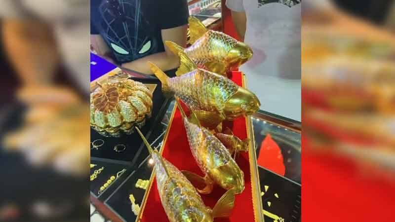 bo ca vang