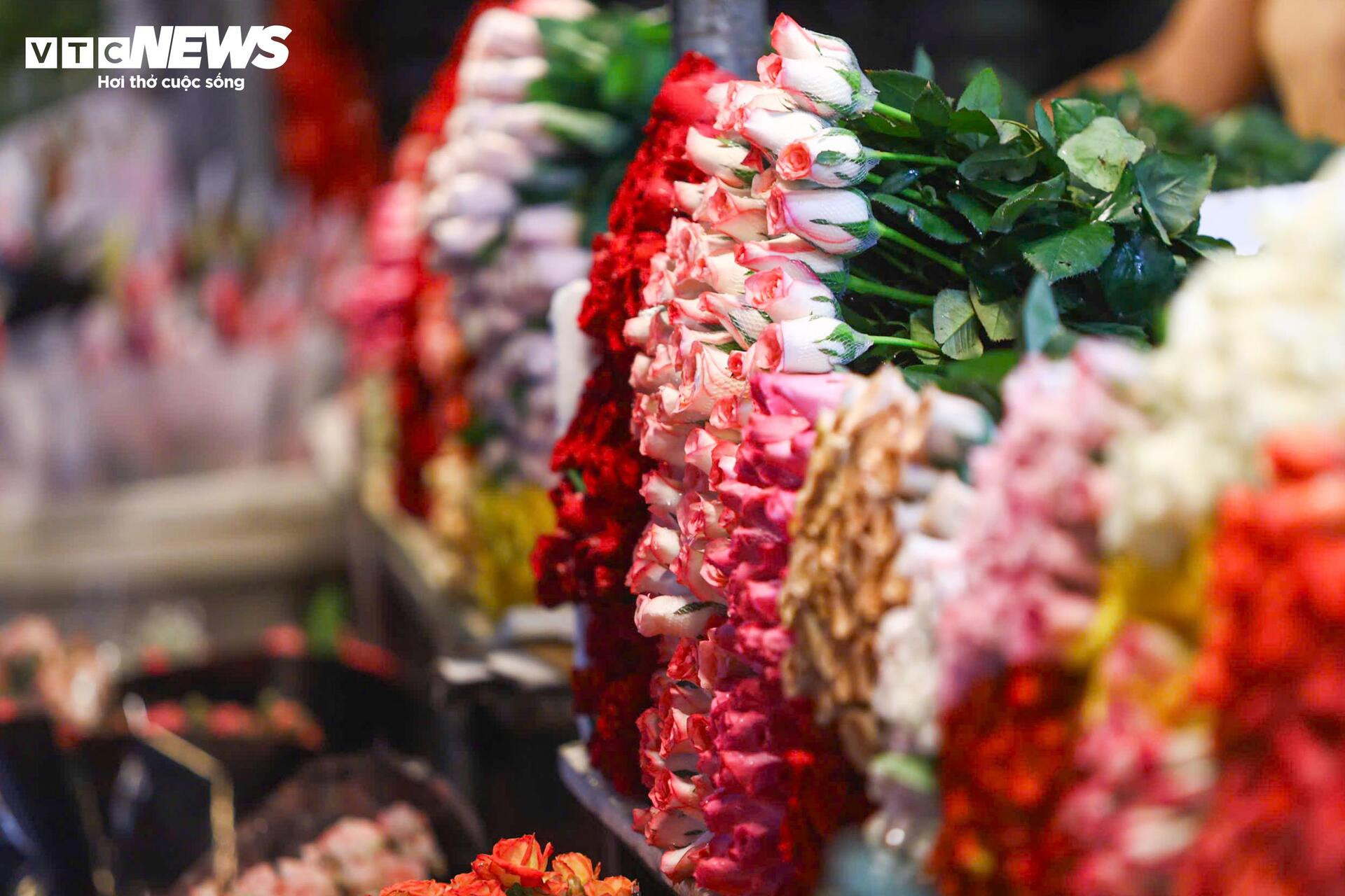 Chợ hoa lớn nhất Hà Nội đông kín khách suốt đêm trước ngày 20/10 - 8
