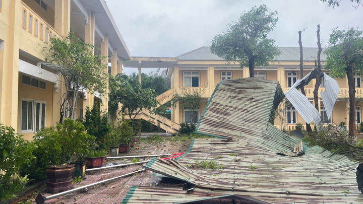 Tại khu vực gần cảng biển Cửa Lò, các trường mầm non Nghi Thủy, Nghi Tân, trường THCS Nghi Tân... đều chịu thiệt hại nặng nề sau bão. Riêng trường THCS Nghi Tân, con số thiệt hại ước tính lên tới 2,7 tỷ đồng. Toàn bộ dãy nhà hiệu bộ bị tốc mái; gần 100 thiết bị như quạt điện, bàn ghế, máy vi tính hỏng nặng.