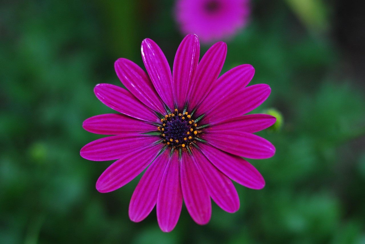 Tháng sinh Âm lịch của người biết nắm bắt thời cơ: Càng trưởng thành càng tỏa sáng - Ảnh 3.