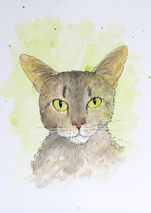 Trong 3 ngày đầu tuần 2010  2210 3 con giáp Quý nhân nâng đỡ làm gì cũng thuận lợi