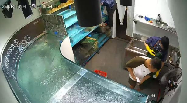 Khoảnh khắc kinh hoàng bể cá khổng lồ trong nhà hàng bất ngờ vỡ vụn - Ảnh 1.