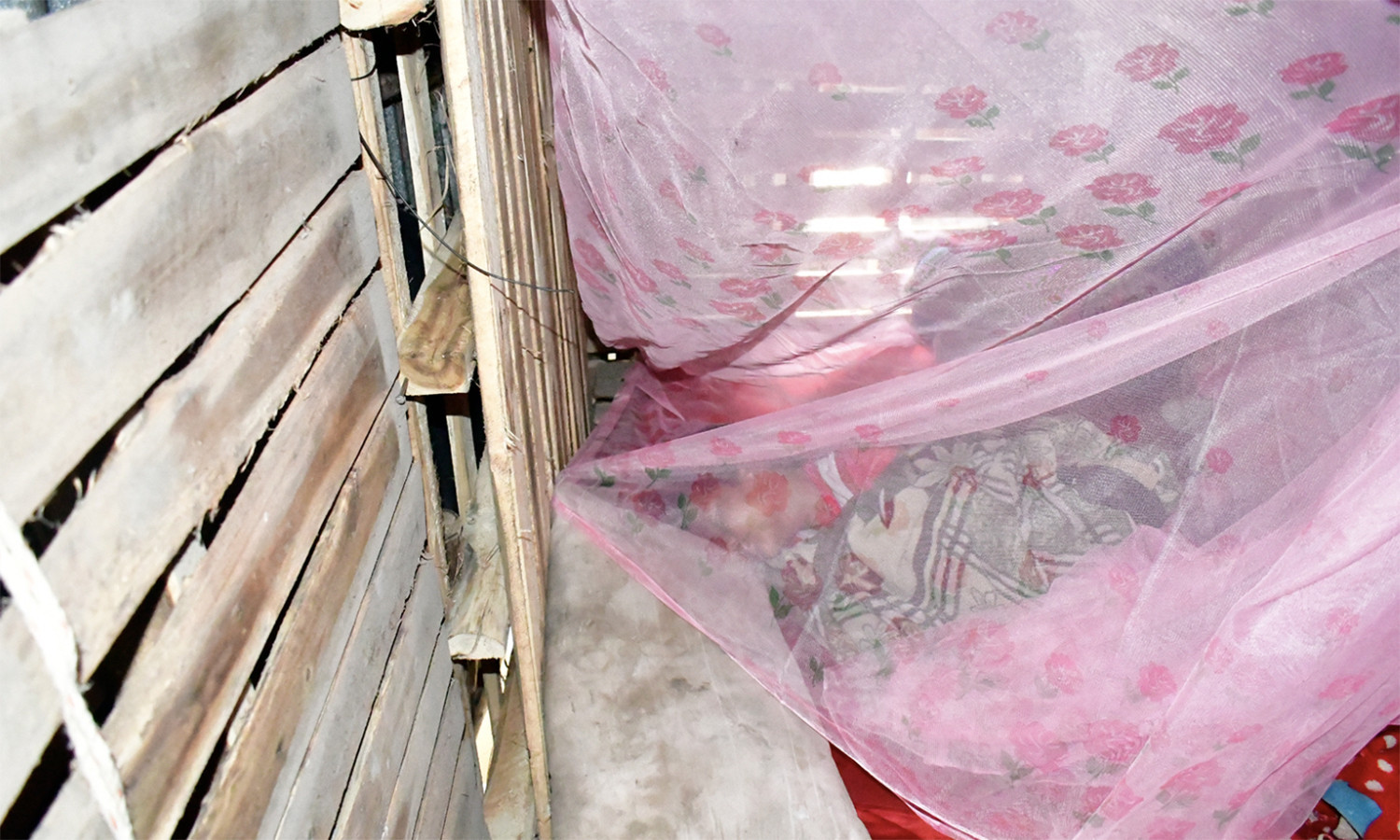 tìm kiếm bé trai 4 tháng.jpg