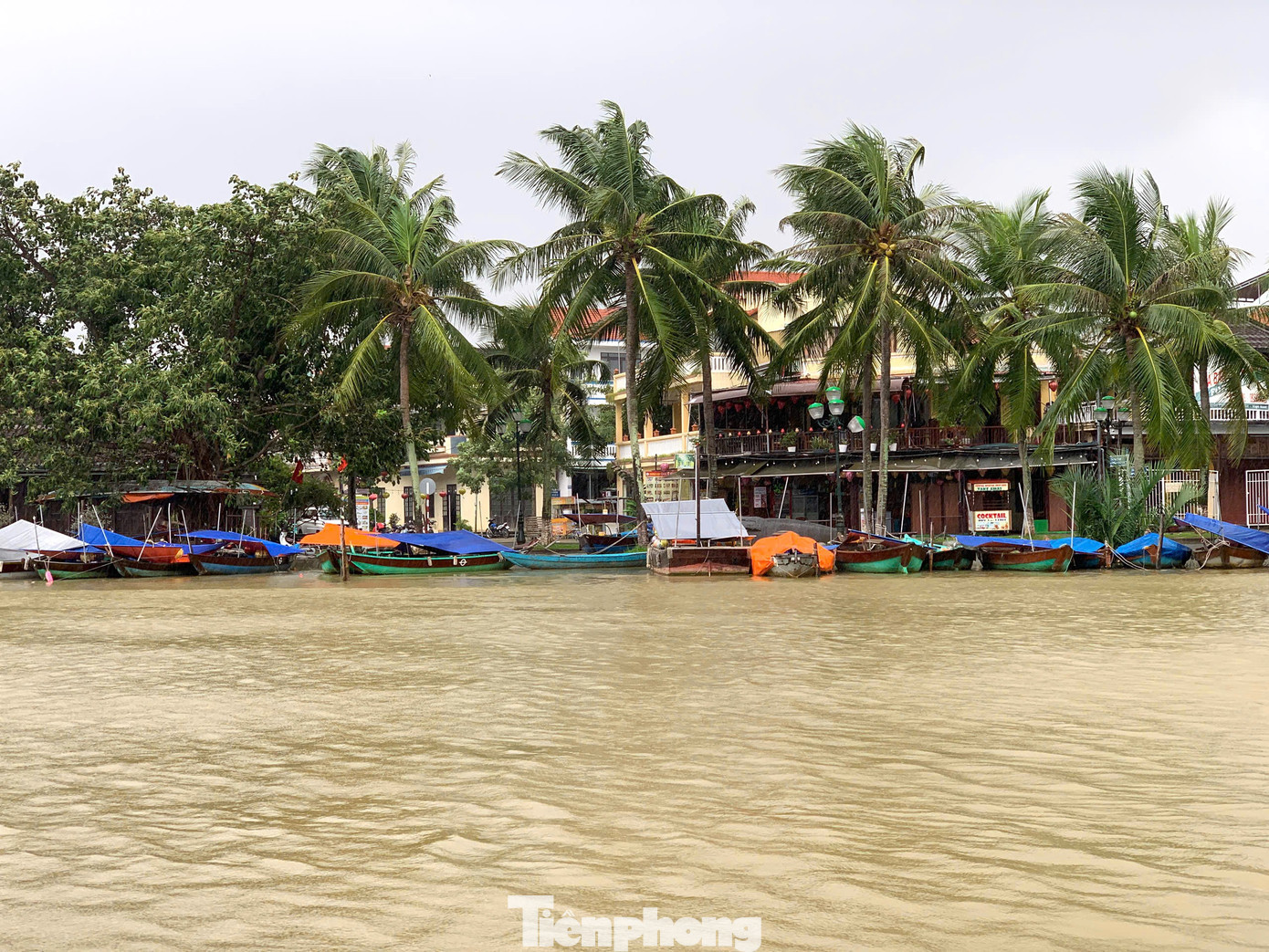 tp-hoi-an-ngap-lut-6.jpg