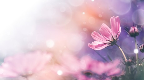 Tháng sinh Âm lịch của người có phúc lộc sâu dày, 10 người thì 9 người giàu có - Ảnh 4.