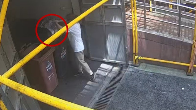 3NYhdSFBDwSvNkU7fUra_XnGVVGykgfa4QiSH EIkh8.jpg