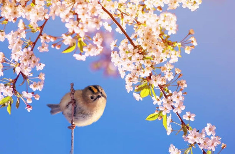 Ngày sinh âm lịch được Thần Tài nâng đỡ mệnh phú quý tiền bạc không mời cũng đến