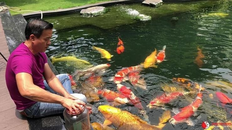 Cuộc sống hiện tại của Vua cá koi Thắng Ngô sau 2 năm ly hôn Hà Thanh Xuân