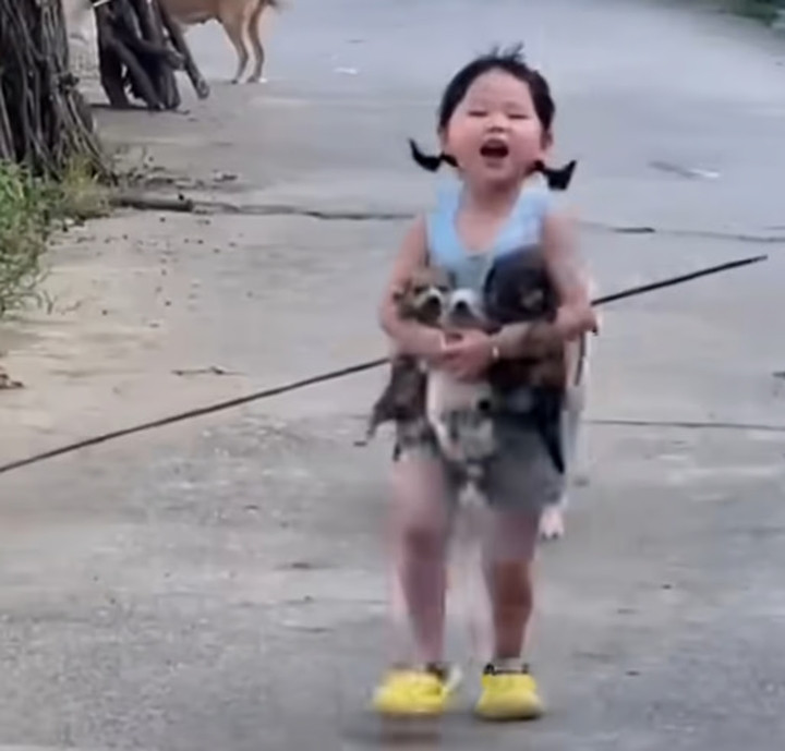 Hình ảnh trong clip bé Yang bế 3 chú cún con không chỉ nổi tiếng tại Trung Quốc mà cũng được lan tỏa rộng rãi trên mạng xã hội Việt Nam.