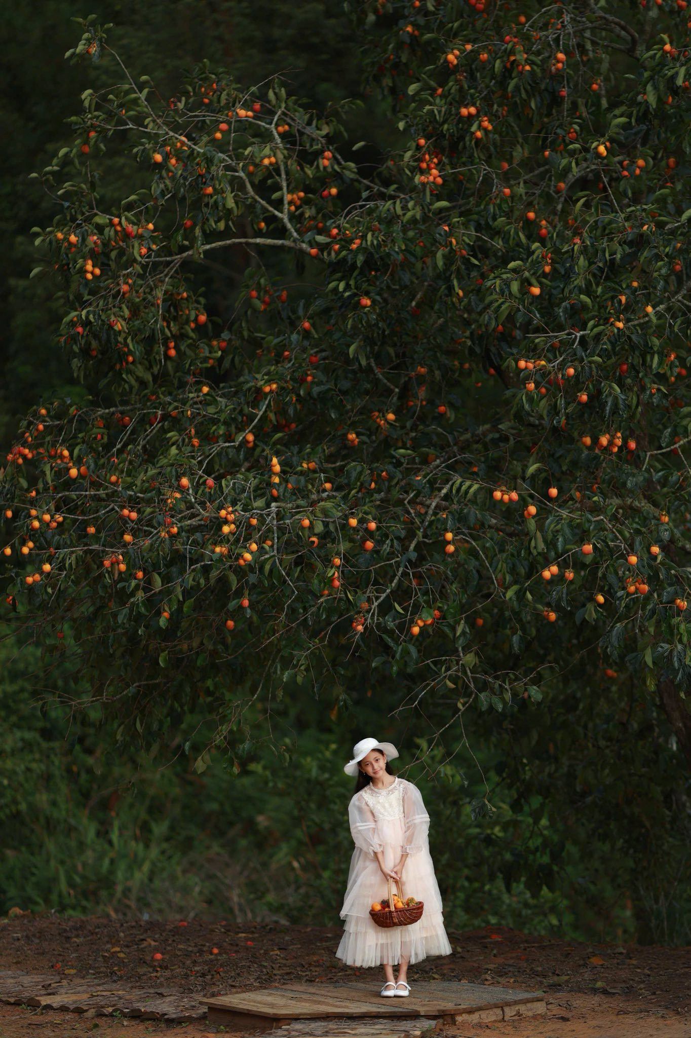 Con gái Hoa hậu Hà Kiều Anh trong trẻo, thuần khiết như 'nàng thơ'  - Ảnh 3.