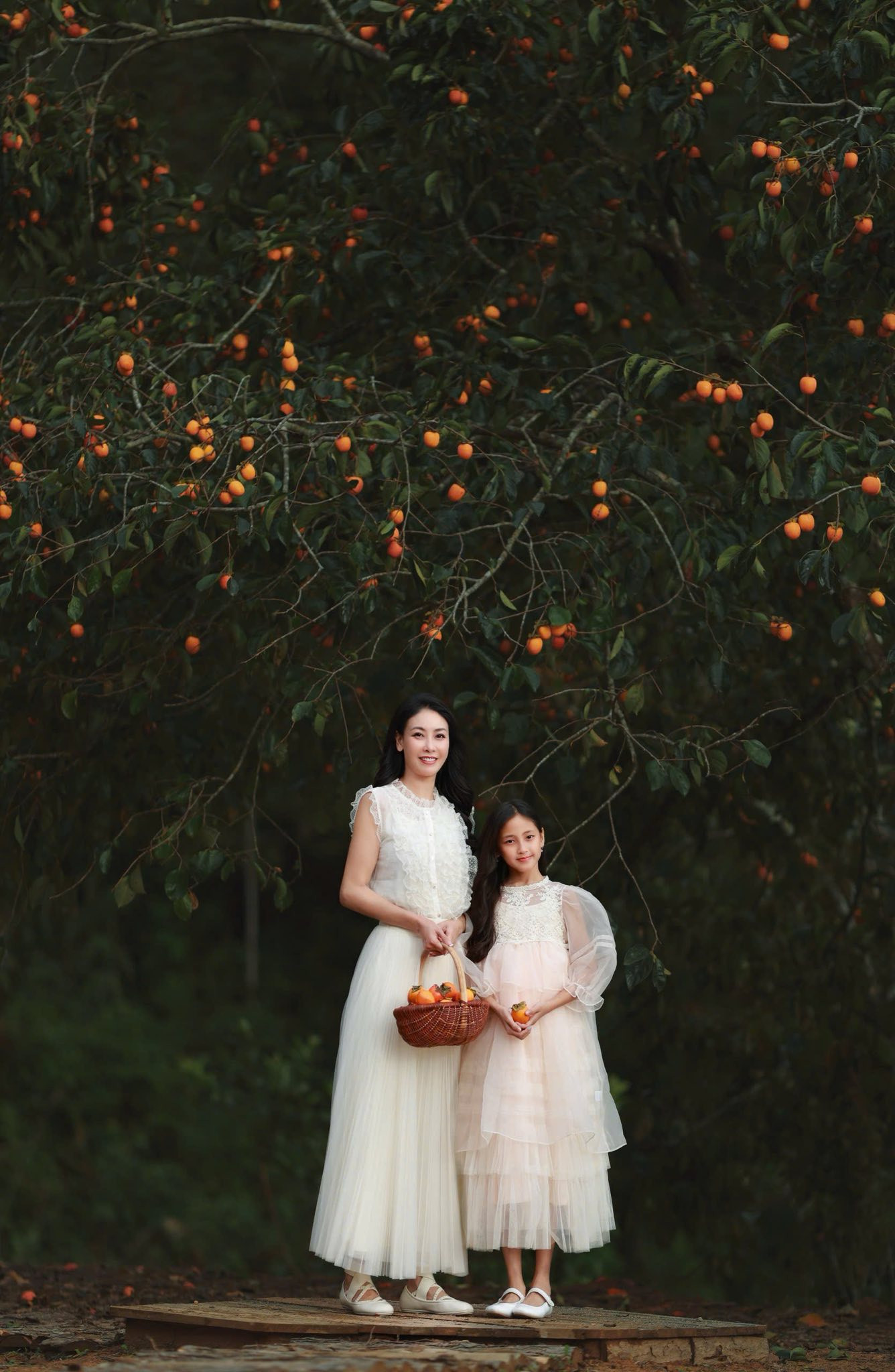 Con gái Hoa hậu Hà Kiều Anh trong trẻo, thuần khiết như 'nàng thơ'  - Ảnh 1.